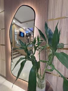 阿尔马亚尔酒店 - 图片 23
