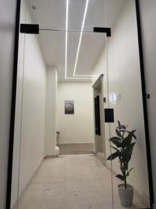 Bedroom and Living Room - imagen 3