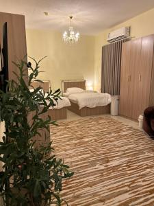 Al Joud Suites - görsel 14