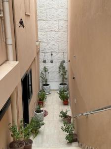 Luxury Studio Near Al Haram And City Center - image 5