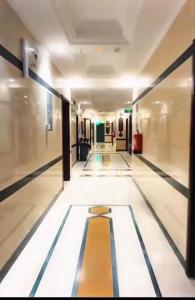 阿法米亚艾利特洛奇 - 图片 6