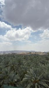 Rabwah Al Aliyah - imagen 1