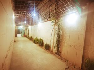 Rest House Al Safa - image 8