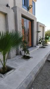 Rabwah Al Aliyah - imagen 24