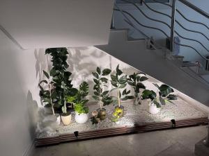 New 1 Bedroom Unit - imej 4