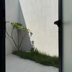 مئاب طيبة - صورة 6