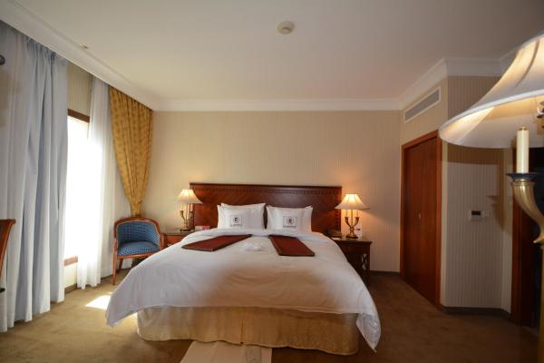 Hayah Grand Hotel - image 17