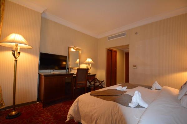 Hayah Grand Hotel - image 5