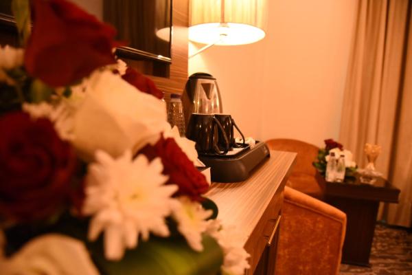 Alandalus Golden Palace Hotel - görsel 10