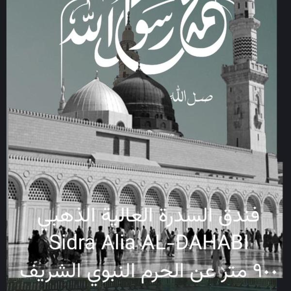 Sidra Alia Al-Dahabi Hotel - image 2