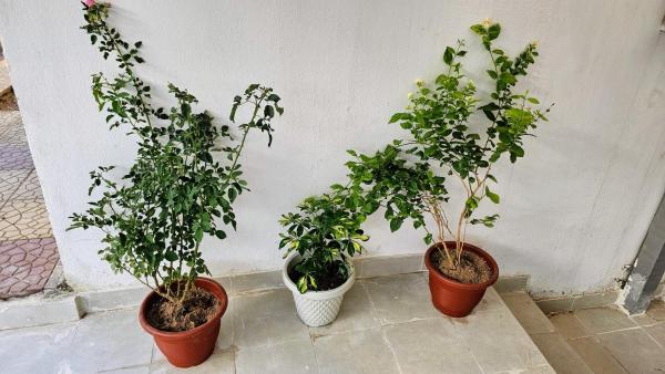 Apartment with Two Bedrooms and Attractive Price 2 - imej 10