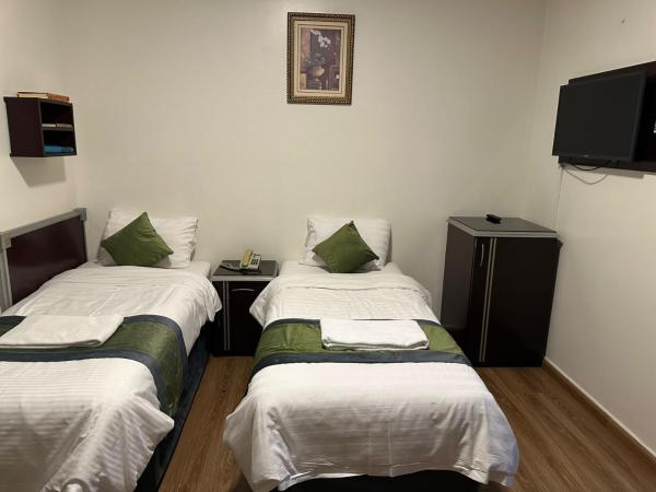 麦地那达哈比莫尔扬霍斯皮塔利蒂旅游酒店 - 图片 10