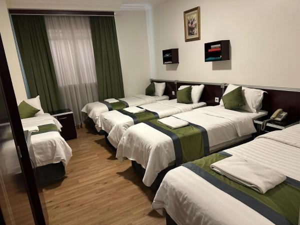 麦地那达哈比莫尔扬霍斯皮塔利蒂旅游酒店 - 图片 27