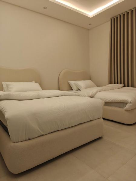 Terrace - image 7