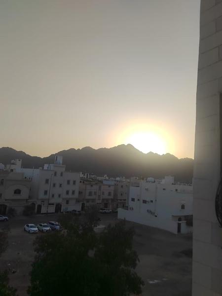 وادي ال عقيق 203 - صورة 8
