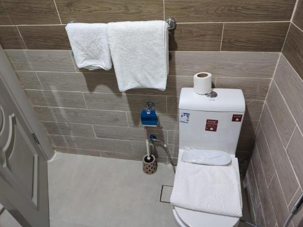Hayat Rose Serviced Apartments - image 34