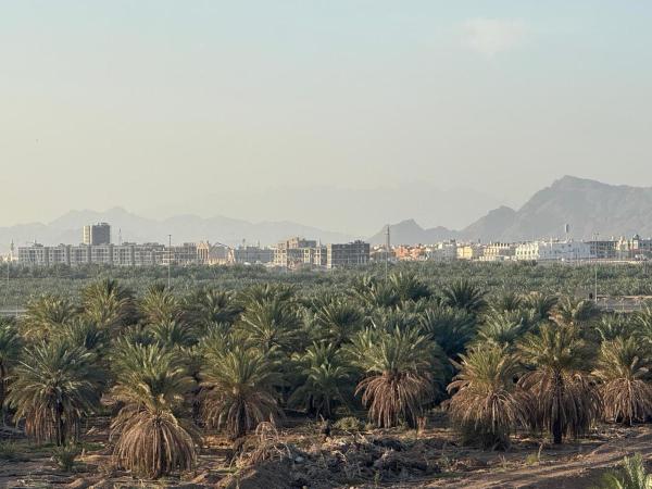 ريما فيلا إيه-1 بي-2 - صورة 33