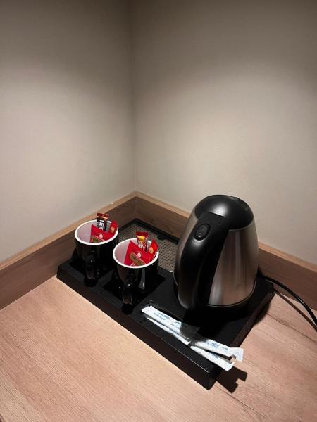A suite with a room and a lounge with a quiet and modern design - image 19