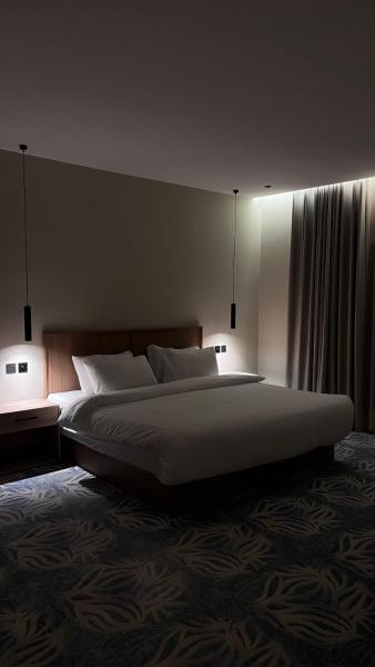 A suite with a room and a lounge with a quiet and modern design - image 13