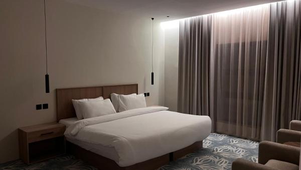 A suite with a room and a lounge with a quiet and modern design - image 9