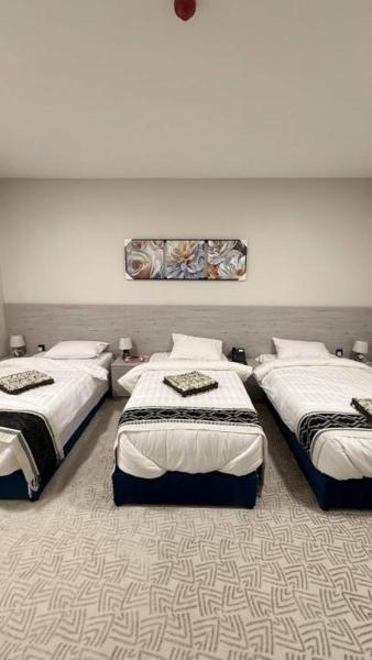 Arkan Stone Al Fakhama Residential - imagen 22