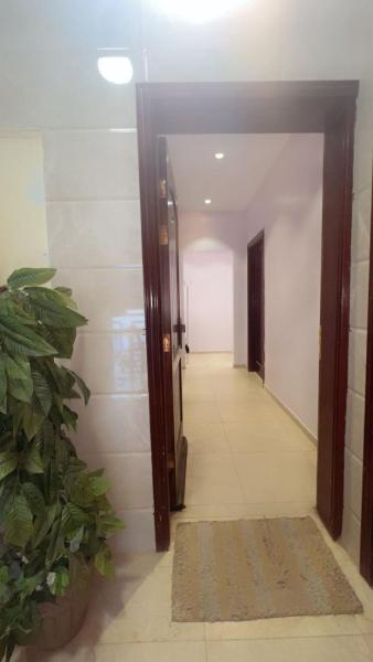 D House - imagen 6