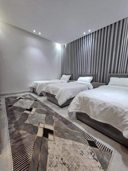 MSAS APTs - afbeelding 6