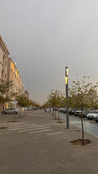 Al Alya Serviced Apartments - afbeelding 8