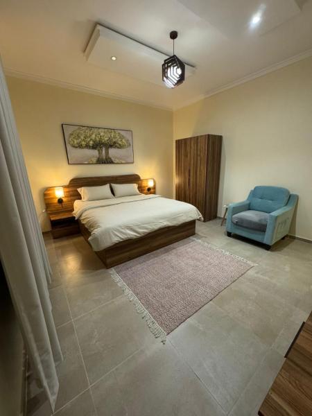 Menzal-M12-211 Two-Bedroom Apartment and Living Room - imagen 14