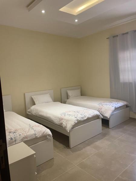 Menzal-M12-211 Two-Bedroom Apartment and Living Room - imagen 2