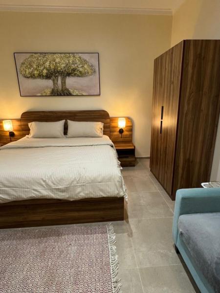 Menzal-M12-211 Two-Bedroom Apartment and Living Room - imagen 10