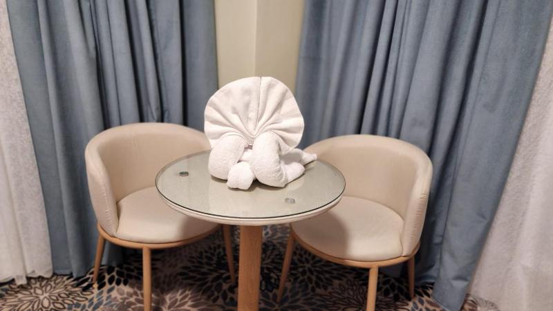 Deluxe kingsuite afbeelding 5