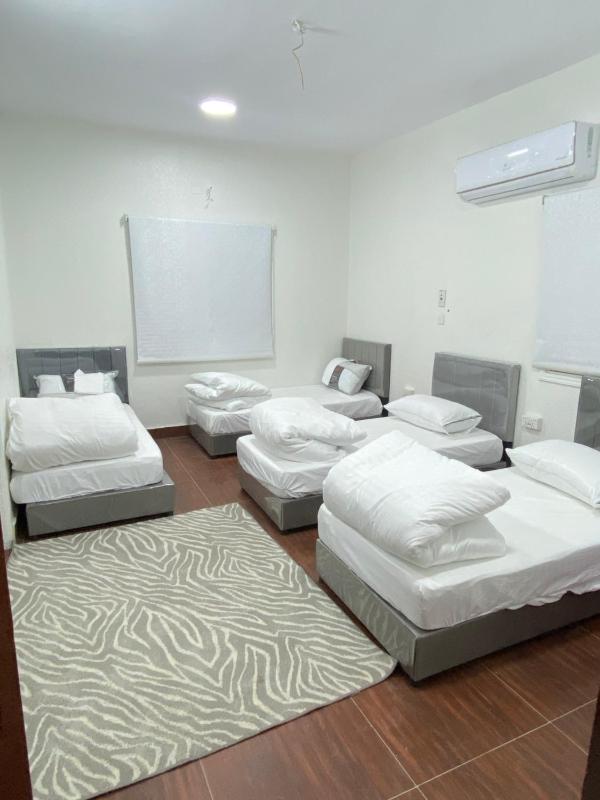 One-Bedroom Apartment image 9