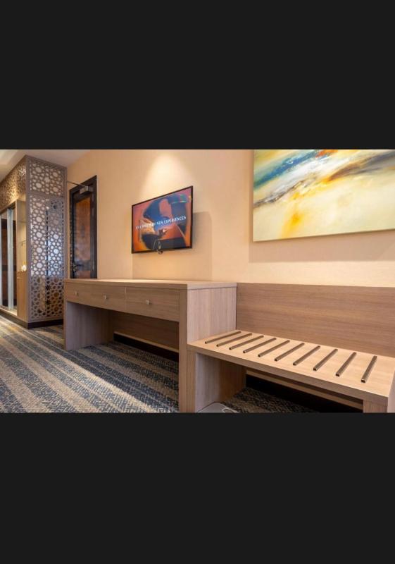 Deluxe King Suite image 4