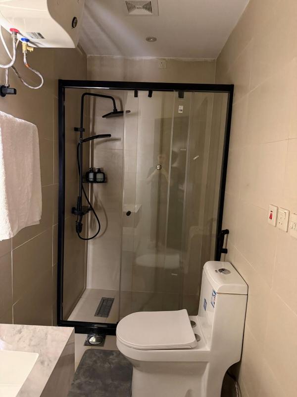 One-Bedroom Apartment image 4