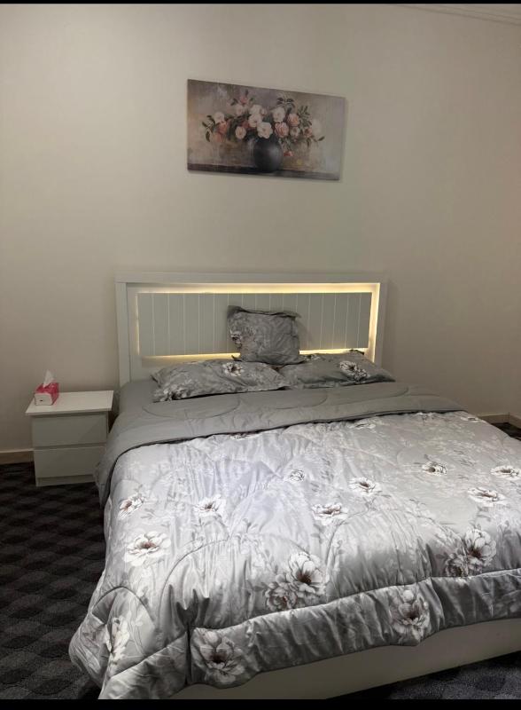 One-Bedroom Apartment image 4