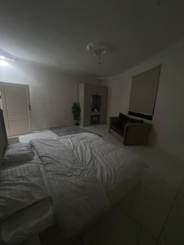 一卧室公寓图片 3